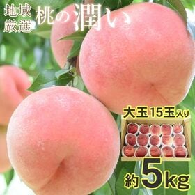 順次出荷　地域厳選の桃「潤い」大玉15玉　1箱約5k | 産地を厳選し旬の桃をご用意させて頂きます♪