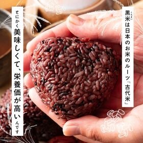 【日替わり数量限定】【800g(400g×2袋)】雑穀米 国産 黒米(雑穀米・チャック付き)【先行チケット利用NG】