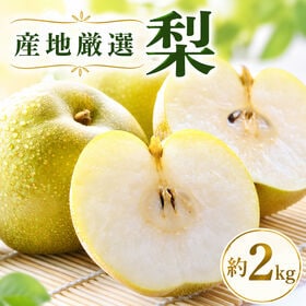 【約2kg(5~8玉)】産地厳選 梨《品種おまかせ》