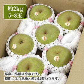 【約2kg(5~8玉)】産地厳選 梨《品種おまかせ》
