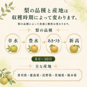 【約2kg(5~8玉)】産地厳選 梨《品種おまかせ》