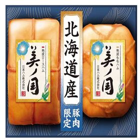 【賞味期限間近】ニッポンハム 北海道 プレミアム 美ノ国 UKH-55
