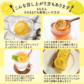 【100g(100g×1)】国産(愛媛県産)ドライフルーツ輪切りレモン(チャック付き)