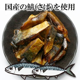 【日替わり数量限定】【100g×1袋】炙り鯖 表面を香ばしく深みのある味わい【先行チケット利用NG】