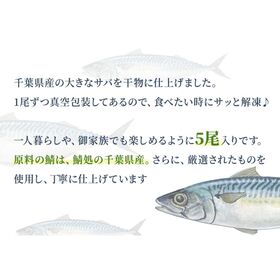 千葉県産のサバを薄塩で丁寧に仕上げた国内加工品！鯖 ひもの 5枚