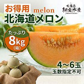 お得用北海道メロン 約8kg(4—6玉)