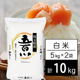 【計10kg/5kgx2袋】新米 令和8年産 埼玉県産 五百川 白米 | 埼玉県から本格派新米