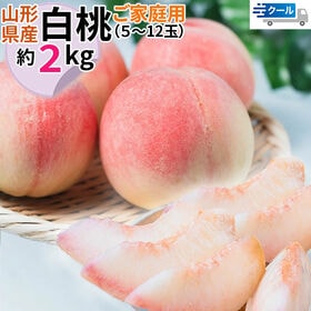 【2kg】＜ご家庭用＞ 山形県産 白桃 品種おまかせ(5〜12玉) クール便
