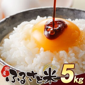 【計5kg(5kg×1袋)】国産 ふるさと米 白米