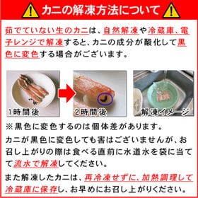 【計1kg/500g(21-30本)×2】生冷凍 ズワイガニ ポーション むき脚 小サイズ