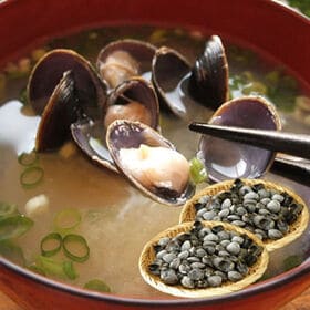 【2kg】北海道網走産 冷凍 しじみ | 北海道網走湖で獲れた栄養豊富なしじみです！