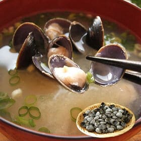 【1kg】北海道網走産 冷凍 しじみ | 北海道網走湖で獲れた栄養豊富なしじみです！