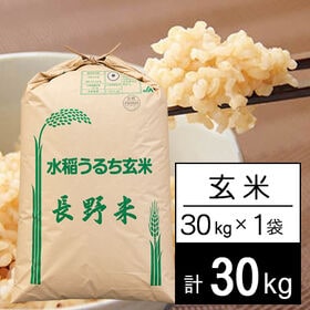 【30kg】 令和7年産 長野県産 あきたこまち 1等玄米30kgx1袋 | さわやか信州 あきたこまち