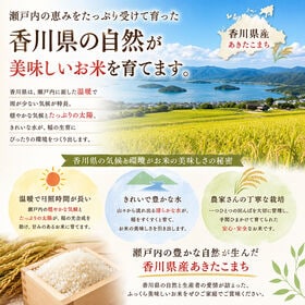 【約10kg(5kg×2袋)】新米 令和8年産 香川県産あきたこまち 単一銘柄米