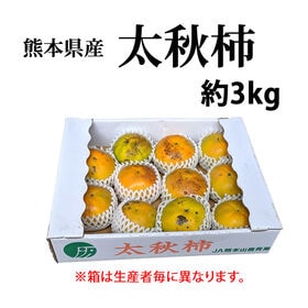 【予約受付】10/23~順次出荷【約3kg】熊本・福岡県産 太秋柿(ご家庭用・傷あり)