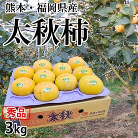 【予約受付】10/23~順次出荷【3kg】熊本・福岡県産 太秋柿 秀品