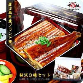 【3種セット】鹿児島県産うなぎ蒲焼き 贅沢3種食べ比べセット | 化粧箱入りで大切なギフトにもお薦め！