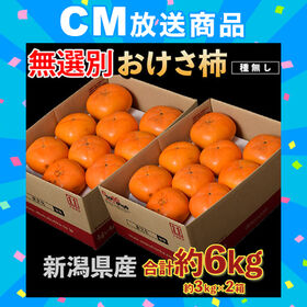 【予約受付】10/26~順次出荷【計6kg/約3kg×2箱】新潟県産『おけさ柿』 | 種無しでパリッとした食感と濃厚な甘さがたまらない。 追熟してトロトロ食感にするのもお勧め♪