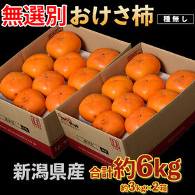 【予約受付】10/26~順次出荷【計6kg/約3kg×2箱】新潟県産『おけさ柿』