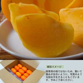 【予約受付】10/26~順次出荷【計6kg/約3kg×2箱】新潟県産『おけさ柿』