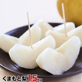 【約1.5kg前後(2~5玉前後入り)】くまもと梨