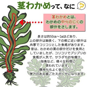 【600g (300g×2袋)】茎わかめ 宮城県三陸産  湯通し塩蔵 無選別