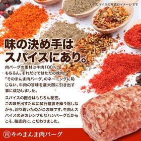 【計720g (180g×2個)×2パック】そのまんま肉バーグ 2Pセット