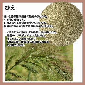 750g(150g×5袋) 白干しひえ 雑穀