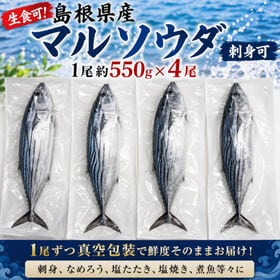 【計約2.2kg/一尾約550g×4パック】島根県産 マルソウダ 《刺身可》