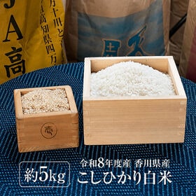 【約5kg】新米 令和8年度産 香川県産コシヒカリ 美味しいお米ができました！ | 瀬戸内の温暖な気候と水はけの良い田んぼが育てたコシヒカリ