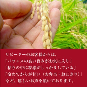 【約10kg(5kg×2袋)】新米 令和8年度産  香川県産コシヒカリ 美味しいお米ができました！