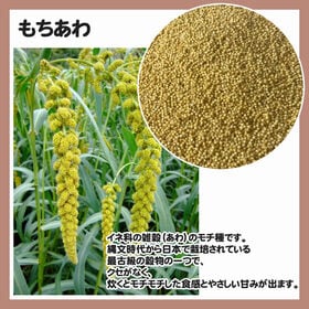 300g(150g×2袋) もちあわ 雑穀