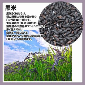 440g(110g×4袋) 黒米 雑穀 古代米