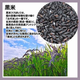 1100g(110g×10袋) 黒米 雑穀 古代米
