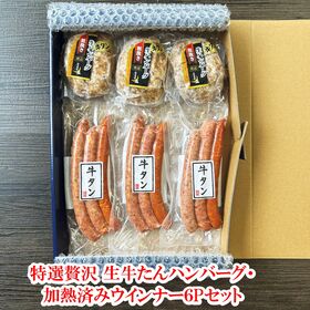 仙台発祥牛タン　特選贅沢牛たん入りハンバーグ・加熱済みウインナー6Pセット