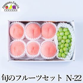 旬のフルーツセット N22(マスカット・桃)