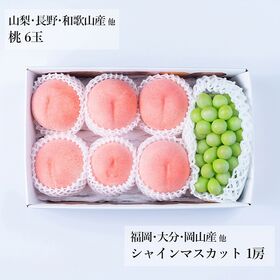 旬のフルーツセット N22(マスカット・桃)