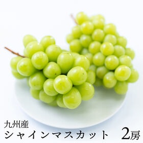 【九州】2房　シャインマスカット