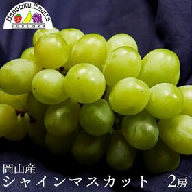 【岡山】2房　シャインマスカット