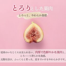 【福岡】2パック　とよみつひめ（無花果）