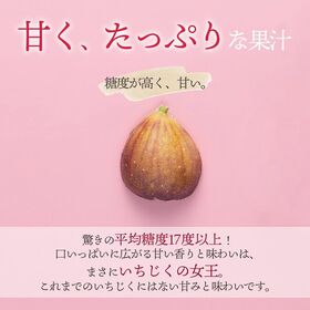 【福岡】2パック　とよみつひめ（無花果）