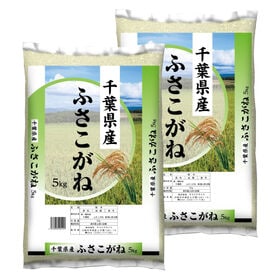 【計10kg(5kg×2袋)】新米 令和8年産 千葉県産ふさ...
