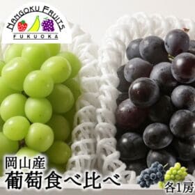 【岡山】葡萄食べ比べ（ピオーネ＆シャインマスカット）