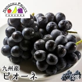 【九州】 2房　ピオーネ