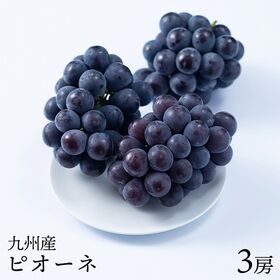 【九州】 3房　ピオーネ
