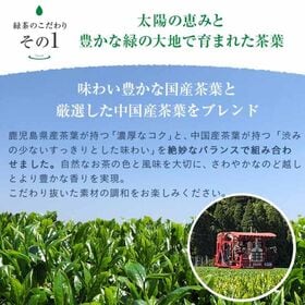 【500ml 24本】緑茶 彩茶-あやちゃ-