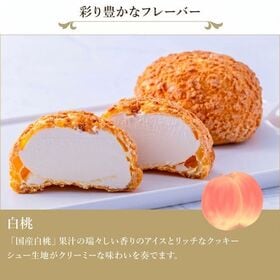 【9個入/1箱】銀座千疋屋 銀座プレミアムシューアイス（※白桃計9個）