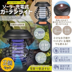 【日替わり数量限定】【2個セット!】LED／殺虫モード搭載 ソーラー充電式ガーデンライト【先行チケット利用NG】