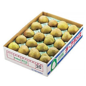 【予約受付】11/1より順次出荷【約3kg／糖度14度以上】山形県産ラ・フランス※ご家庭用