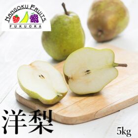【予約受付】9月下旬~順次出荷【山形/長野/青森他】5kg (16~20玉)　旬の洋梨